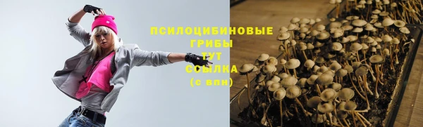 герыч Алексин