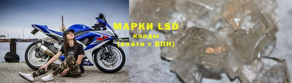 крисы Коряжма