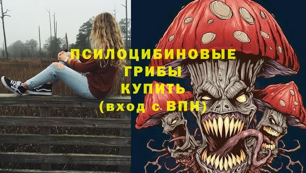 герыч Алексин