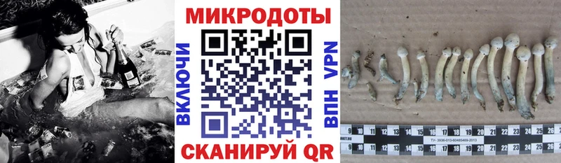 купить закладку  Карпинск  Псилоцибиновые грибы Cubensis 